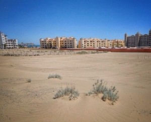 Before- this empty field will magically transform into a play ground for an expected 3000 revellers.