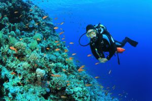 Young Woman Scuba Dives on a Coral Reef