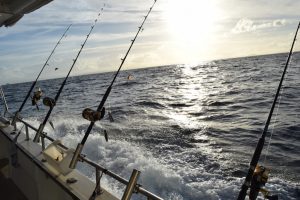 Deep sea sport fishing.