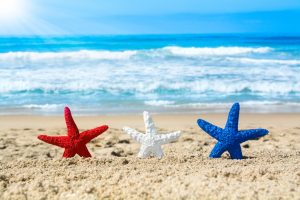 Starfish on beach during July fourth