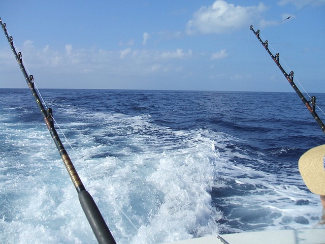 Cabos San Lucas Fishing
